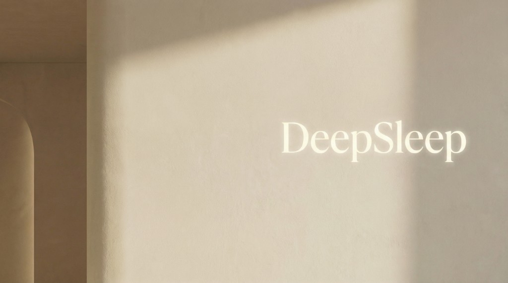 DeepSleep